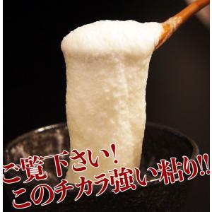 自然薯 とろろ 鹿児島県産 40g×10パック...の詳細画像1
