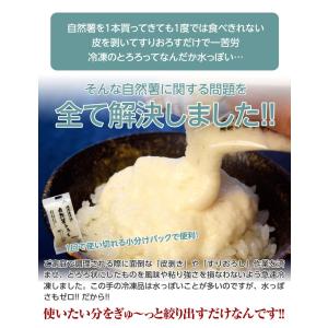 自然薯 とろろ 鹿児島県産 40g×10パック...の詳細画像2