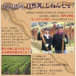 自然薯 とろろ 鹿児島県産 40g×10パック...の詳細画像3