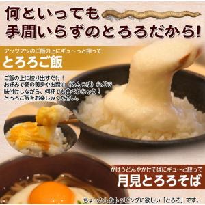 自然薯 とろろ 鹿児島県産 40g×10パック...の詳細画像4