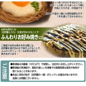 自然薯 とろろ 鹿児島県産 40g×10パック...の詳細画像5