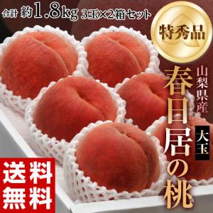 山梨県産 春日居の桃 《特秀品》 大玉 3玉×2箱 約1.8kg 化粧箱 ※常温 送料無料｜tsukijiichiba