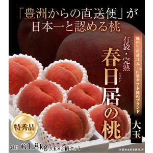 山梨県産 春日居の桃 《特秀品》 大玉 3玉×...の詳細画像1