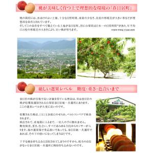 山梨県産 春日居の桃 《特秀品》 大玉 3玉×...の詳細画像4