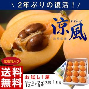 《送料無料》長崎県産　びわ「涼風」3〜5L　約1kg　化粧箱　※冷蔵 frt ☆