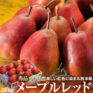 山形県産 紅色に染まる西洋梨 メープルレッド 約3kg（7〜12玉）※常温　送料無料