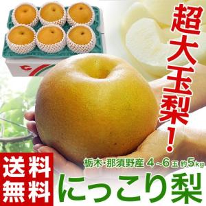 梨 なし 栃木県産 にっこり梨 約5kg 超大玉4〜6玉 秀〜優品 送料無料 常温｜tsukijiichiba