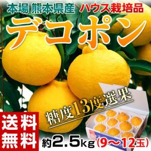 《送料無料》熊本産 ハウスデコポン 化粧箱 5〜8玉 約2キ...