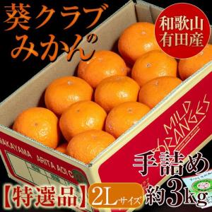 葵クラブのみかん 特選品 2L 手詰め 和歌山県...の商品画像