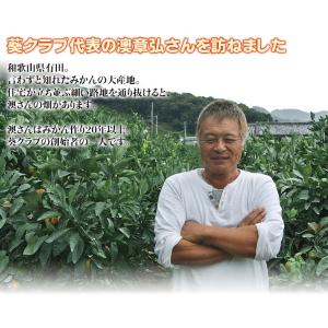 葵クラブのみかん 特選品 2L 手詰め 和歌山...の詳細画像4