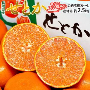 JA長崎せいひ せとか 長崎県産 柑橘 S〜L 約2.5kg 産地箱 風袋込 キズ・スレ等あり※常温 送料無料