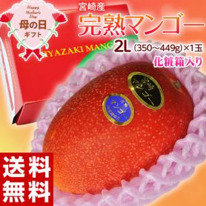 【母の日ギフト 2018】宮崎県産 完熟マンゴー 2Lサ...