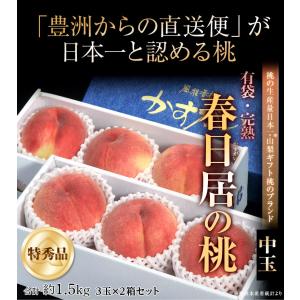 山梨県産 春日居の桃 《特秀品》 中玉 3玉×...の詳細画像1
