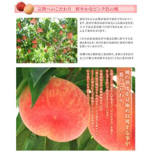 山梨県産 春日居の桃 《特秀品》 中玉 3玉×...の詳細画像5