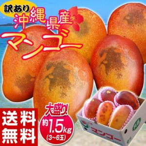 『訳あり沖縄マンゴー』沖縄県産 マンゴー 約1.5kg（3〜6玉）産地箱入