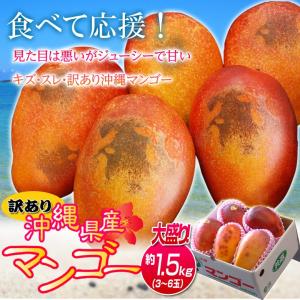 ご自宅用 訳あり 沖縄マンゴー 沖縄県産 約1...の詳細画像1