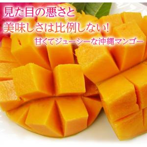 ご自宅用 訳あり 沖縄マンゴー 沖縄県産 約1...の詳細画像2