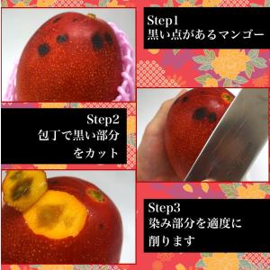 ご自宅用 訳あり 沖縄マンゴー 沖縄県産 約1...の詳細画像5
