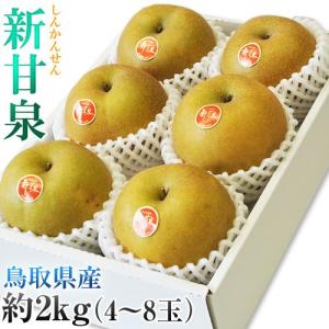 梨 なし 鳥取県産 新甘泉 しんかんせん 約2kg(4〜8玉) 送料無料 ※冷蔵