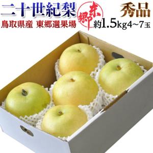 【2箱購入で1箱分増量】『二十世紀梨』 鳥取県産 秀品 約1.5kg（4〜7玉） ※冷蔵　送料無料