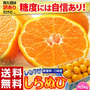 【カード・代引限定】無地箱でお届け　訳あり 不知火 しらぬひ JAにしうわ 三崎共選 愛媛県産 M〜4Lサイズ 風袋込 約5kg ※常温　送料無料 外皮のキズ有り
