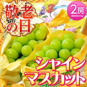 敬老の日ギフト「シャインマスカット 」2房 （合計約800g）　山梨県または長野県産　※冷蔵 送料無料