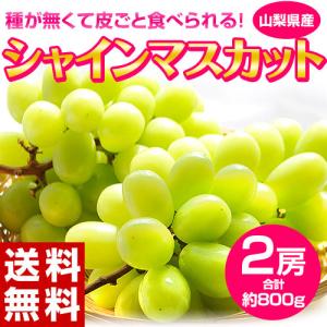 『シャインマスカット』 山梨県産 2房 計約800g ご自宅用簡易梱包　※冷蔵 送料無料