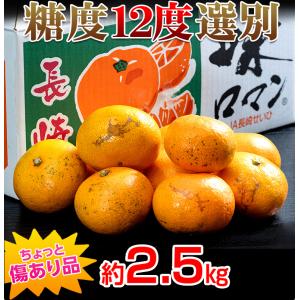 糖度12度以上 味ロマン 長崎県産みかん 2S...の詳細画像2