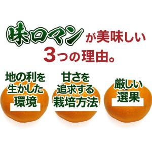 糖度12度以上 味ロマン 長崎県産みかん 2S...の詳細画像4