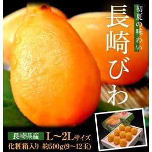 長崎びわ  L〜2Lサイズ 約500g (9〜12玉) 化粧箱  長崎県産 ※冷蔵 送料無料