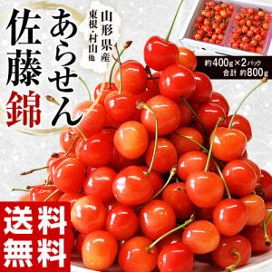 さくらんぼ サクランボ 山形県産 あらせん佐藤錦 1箱 約800g(約400g×2P) M〜Lサイズ 産地直送 送料無料｜tsukijiichiba