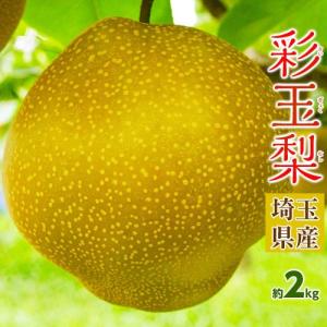 【カード・代引き限定】大玉　彩玉梨　さいぎょくなし　埼玉県産 風袋込 約2kg（3〜6玉）簡易箱 ※冷蔵　送料無料