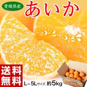 《送料無料》愛媛県産『あいか』　L〜5Lサイズ　約5kg frt ☆