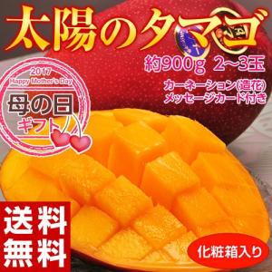 遅れてごめんね母の日　宮崎産マンゴー 「太陽のタマゴ」 2〜3玉　約900g 　※カーネーション(造花)・メッセージカード付き 送料無料｜tsukijiichiba