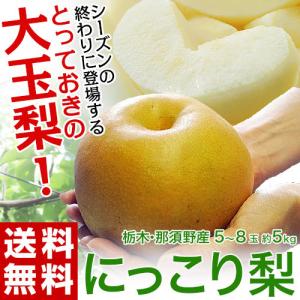 『にっこり梨』　栃木県那須野産　約5kg（5〜8玉）　秀〜優品　※常温  送料無料