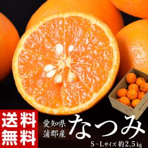 愛知県 蒲郡産 『なつみ（南津海）』 秀 約2.5kg S〜L 簡易包装