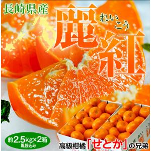 麗紅（れいこう）長崎県産柑橘 S〜L 約2.5kg×2箱 多少のスレ傷あり 産地箱 ※常温 JA長崎せいひ 送料無料