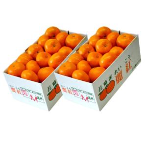 麗紅(れいこう)長崎県産柑橘 S〜L 約2.5...の詳細画像5