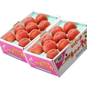 桃 もも モモ ギフト 【豊洲出荷】 福島県産 伊達の桃 特秀品 合計 約3キロ1.5kg×2箱 (1箱：5〜10玉) 送料無料