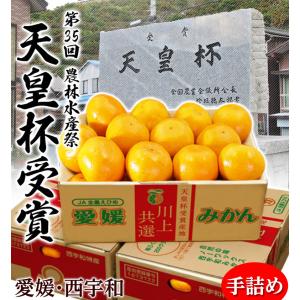 【天皇杯受賞産地】 JAにしうわ 川上みかん ...の詳細画像1