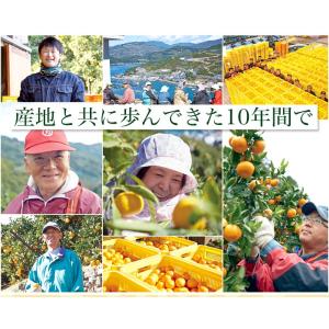 【天皇杯受賞産地】 JAにしうわ 川上みかん ...の詳細画像3