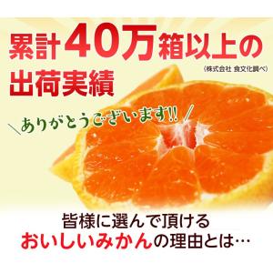 【天皇杯受賞産地】 JAにしうわ 川上みかん ...の詳細画像4