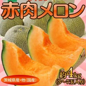 茨城県産・他『赤肉メロン』3〜7玉　約4kg ※常温　送料無料｜tsukijiichiba