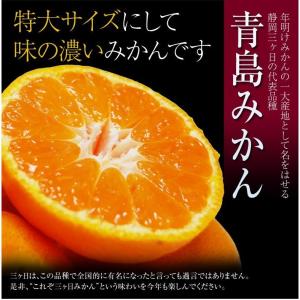 三ヶ日みかん 青島種 静岡県産 3〜4Lサイズ...の詳細画像1