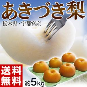 『あきづき梨』栃木県宇都宮産 約5kg（6〜10玉入）※冷蔵 送料無料｜tsukijiichiba