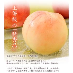 伊達の桃 福島県産 特秀品 約1.5kg×2箱...の詳細画像2