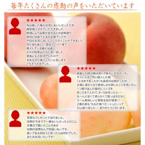 伊達の桃 福島県産 特秀品 約1.5kg×2箱...の詳細画像3