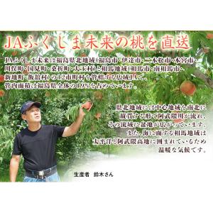 伊達の桃 福島県産 特秀品 約1.5kg×2箱...の詳細画像4