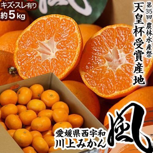 【天皇杯受賞産地】風みかん 愛媛県産 川上共選 JAにしうわ 訳あり S〜Lサイズ 約5kg 風袋込...