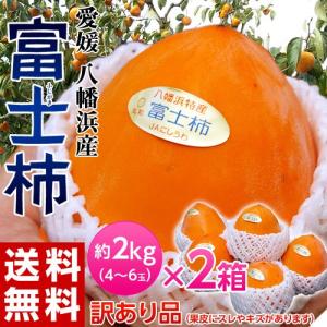 『訳あり富士柿』 愛媛県産 約4kg（約2kg×2箱）1箱4〜6玉 ※常温 送料無料
